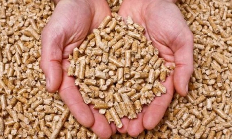 rice straw pellets in hands