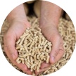 Wood chip Pellets