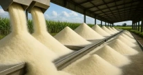 Sugar Manufacturing Plant