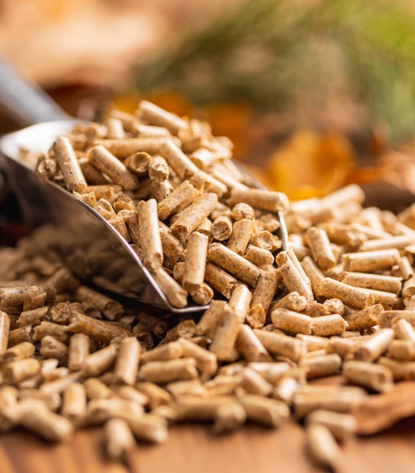 some pellets that produced by pellet machine Malaysia