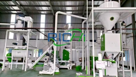 1.5–2 T/H Mesh Belt Dryer for Sale to a Feed Pellet Plant in Iran