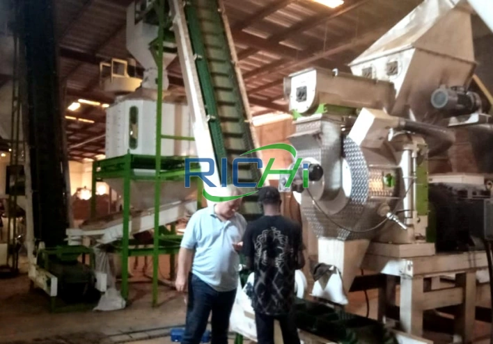 4-5 T/H biomass Wood Pellet Mill for Sale in Germany