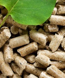 bamboo pellets