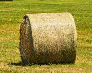 hay bale