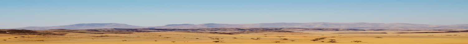 grassland background