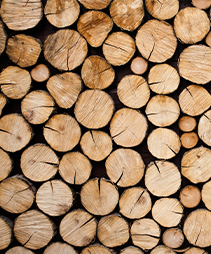 wood logs
