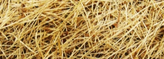 rice straw