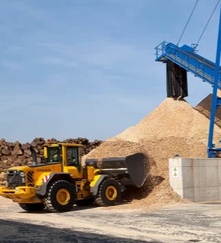 sawdust pellet plant