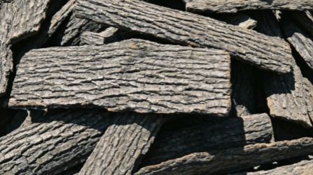 wood bark
