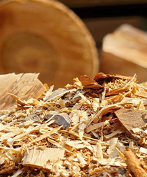 sawdust and wood log