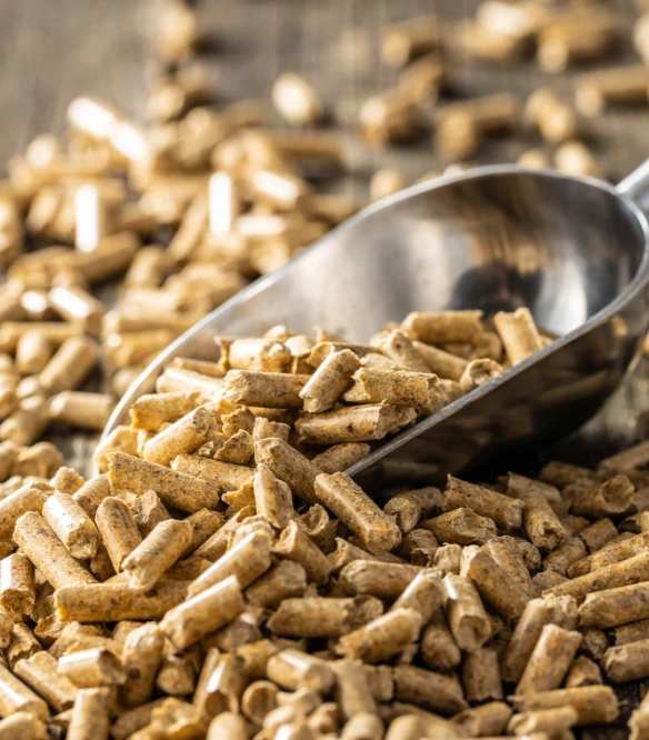 pellet products produced by pellet press machine Germany