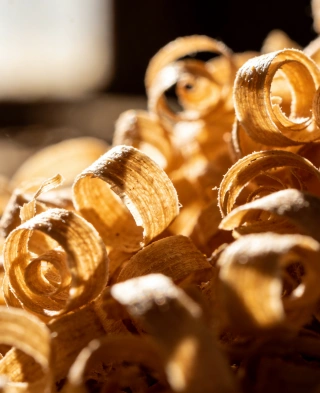 shavings
