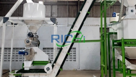 1 T/H Animal Bedding Pellet Mill for Sale in Thailand