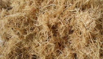 fibers