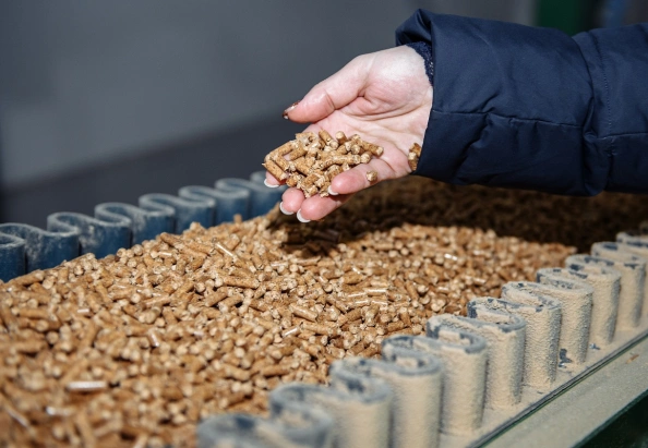 wood pellets in producton line