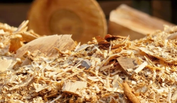sawdust
