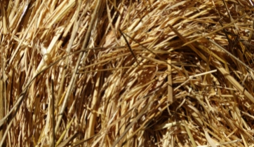 straw