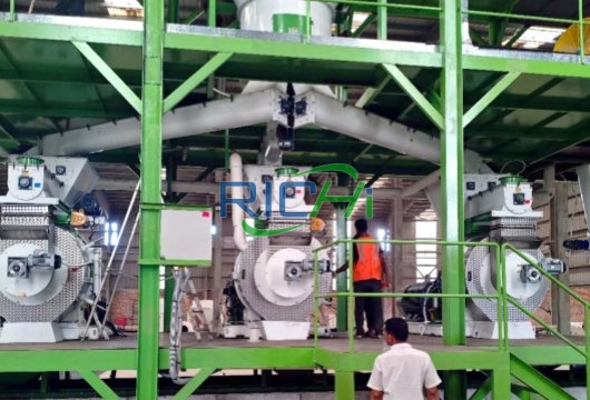 20 t/h machine à granuler le bois pour la vente projet Bangladesh étape de granulation