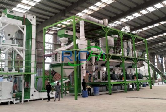 20 t/h machine à granuler de bois pour la vente projet Bangladesh