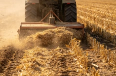 Crop Stalks