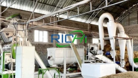 Venta de granuladora de pulpa de remolacha de 4-5 T/H en Alemania