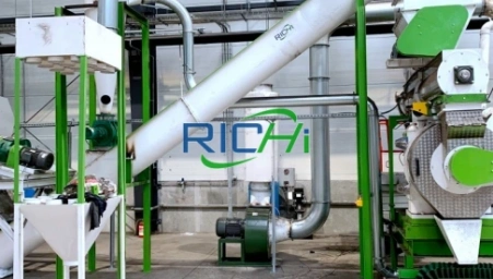 5-6 T / H de pulpa de remolacha máquina de pellets para la venta en EE.UU.