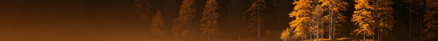 forest background