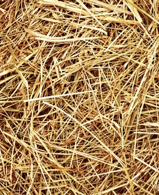straw