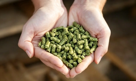 lucerne pellets display