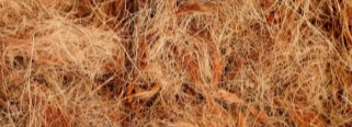 palm fiber