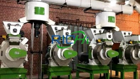 โรงงานผลิตเม็ดไม้ขนาด 10 T/H ในสหรัฐอเมริกา