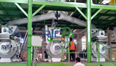โรงงานผลิตเม็ดไม้กำลังการผลิต 20 T/H ในบังกลาเทศ