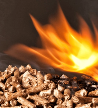Biomass Fuel Processing