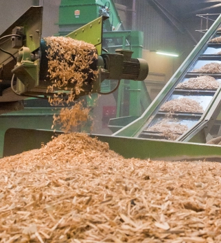Bamboo Waste Processing