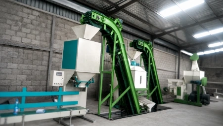 Equipamento de processamento de areia para gatos à base de papel com capacidade de 2–3 T/H à venda para França