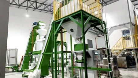 Equipamento de produção de areia para gatos a partir de papel usado com capacidade de 3–4 T/H à venda na Alemanha