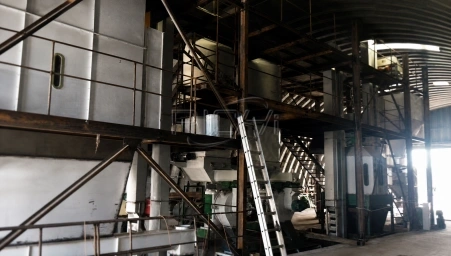 5-6 T/H wood cat litter making machine for Sale Brazil