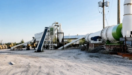 8-10 T/H Sawdust Cat Litter Equipment for Sale Australia