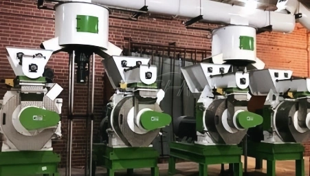 Máquina de fabrico de areia para gatos em papel com capacidade de 8-10 T/H para venda nos EUA