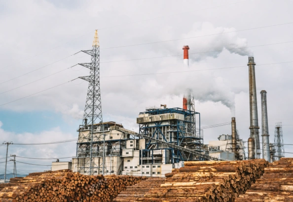 Biomass pellet manufacturer