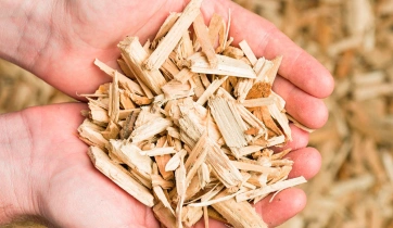 Wood Chips