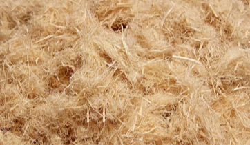 Wood Fiber