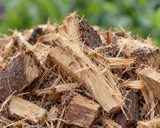 Oil Palm Trunk Chips
