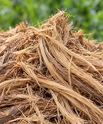 Long EFB Fibers