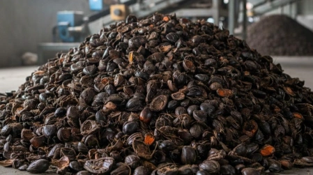 Palm Kernel Shell